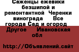 Саженцы ежевики безшипой и ремонтантной. Черенки винограда . - Все города Сад и огород » Другое   . Ивановская обл.